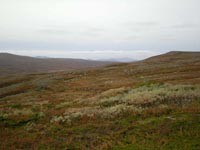 Fj&auml;llen2008